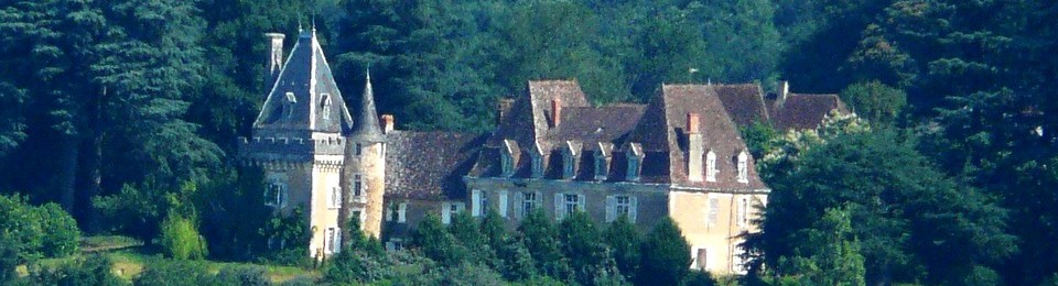 châteaux for sale